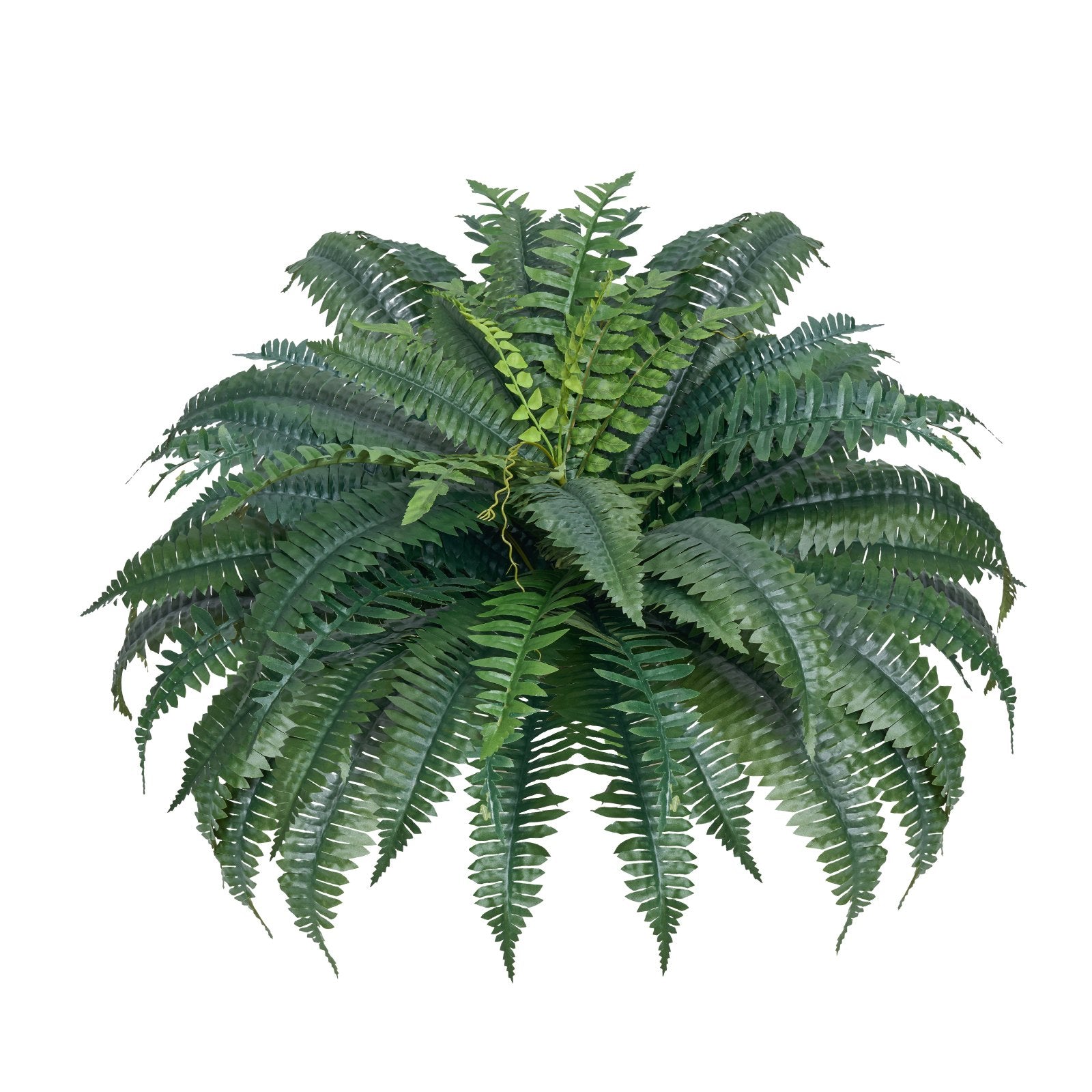 Artificial Ferns 2 Pcs, Natural Spread Diameter